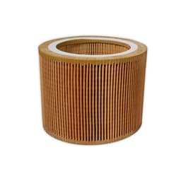 Filtro de aire 10HP